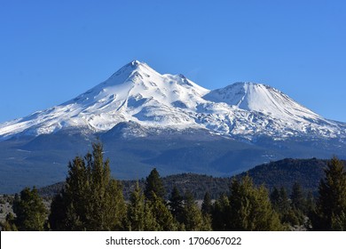 are dogs allowed in mount shasta