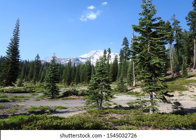 Mount Shasta, Siskiyou County, Northern California