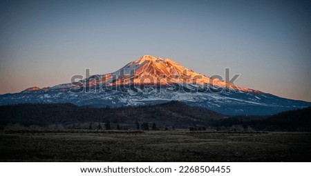 Mount Shasta in sunset light