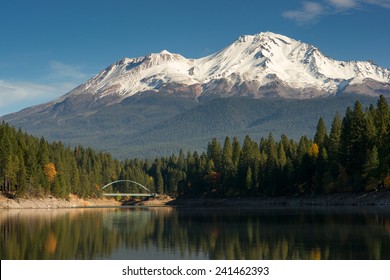 are dogs allowed in mount shasta