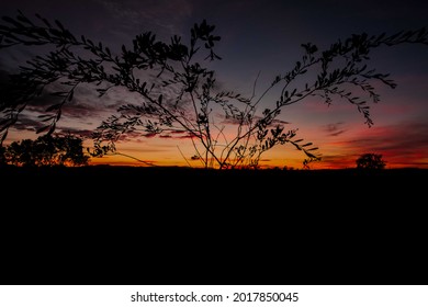 Mount Sheila, Western Australia, June012020. Australian Outback Sunrise With Colorful Outback Nature 