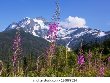  Mount Shuksan,Washington