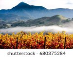 Mount St. Helena and Fall Vineyards