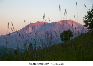 Mount St. Helens At Sunset