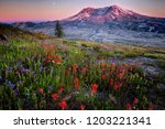 Mount St Helens with wildflowers at sunset - Washington state