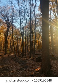 Mount St-Hilaire, Montérégie, Qc, Canada