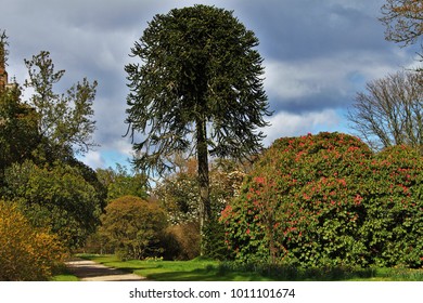 Mount Stuart Gardens