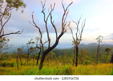 Mount Stuart Townsville Qld