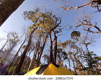 Mount Tambora Is Most Wonderfull Place In Bima