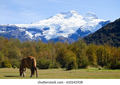 Mount Tronador - Patagonia