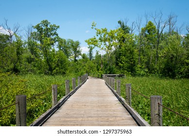 The Mount Vernon Trail, In Alexandria, Virginia