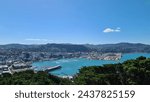 Mount Victoria lookout over Wellington Harbour 