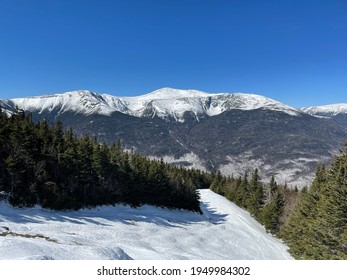 4,520 Wildcat Mountain Images, Stock Photos & Vectors | Shutterstock