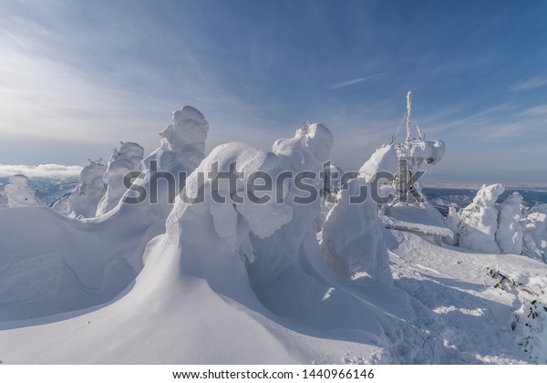 Mount Zao Snow Monster, communication tower in the\
back - Yamagata, Japan