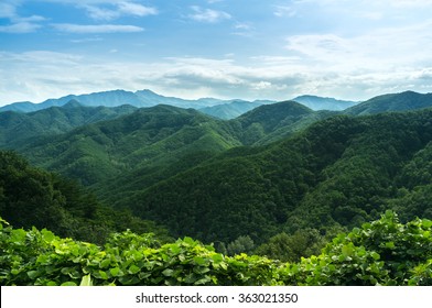 Mountain