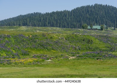 Mountain