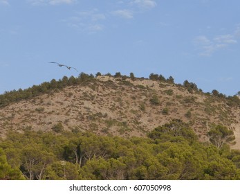 mountain