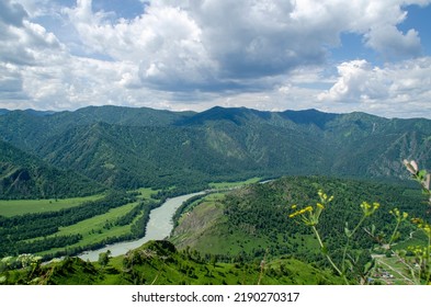 Mountain Altai In Summer, Katun River