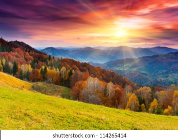 the mountain autumn landscape with colorful forest - Powered by Shutterstock