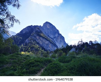 Mountain in background of clearing of pine tree forest in Pfynwald Region in Swiss Alps