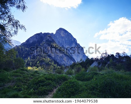 Mountain in background of clearing of pine tree forest in Pfynwald Region in Swiss Alps