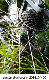 Mountain Bicycle Rear Gear Cassette And Chain Laying On The Grass Close Up Shot No People.