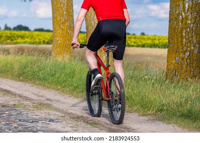 Mountain Bike Cyclist Riding Single Track Outdoor