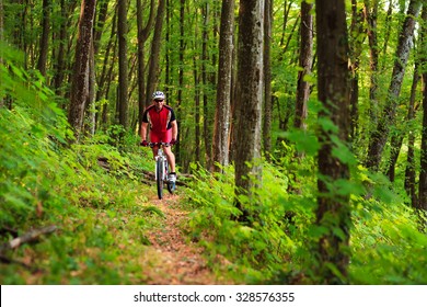 Mountain Bike Cyclist Riding Single Track Outdoor