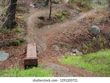 Mountain Bike Jump At The Fork Of Two Trails In A Dry Stream Bed