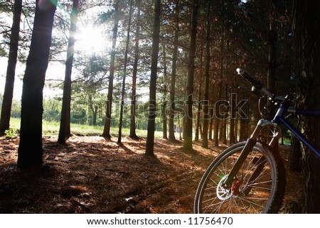 Similar – Image, Stock Photo Woman with a bike in the middle of the forest.