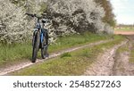 mountain bike stands on a field path with green grass. cycling. Mountain bike. outdoor cycling activities. spring season, good weather. bicycle stands near a flowering tree