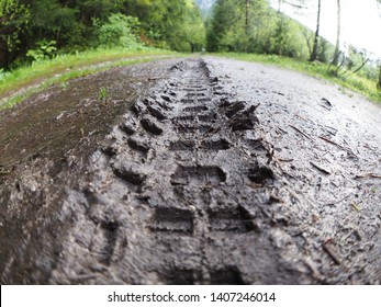 Mountain Bike Tire Tracks Left In Fresh Mud With Clearly Visible Texture Of Tire Profile In The Dirt, Photographed With Fish Eye Lens.