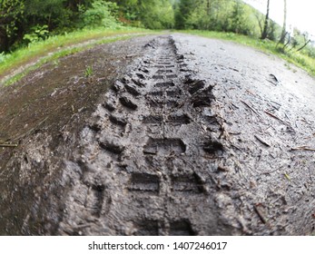 Mountain Bike Tire Tracks Left In Fresh Mud With Clearly Visible Texture Of Tire Profile In The Dirt, Photographed With Fish Eye Lens.