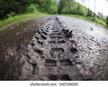 Mountain Bike Tire Tracks Left In Fresh Mud With Clearly Visible Texture Of Tire Profile In The Dirt, Photographed With Fish Eye Lens.