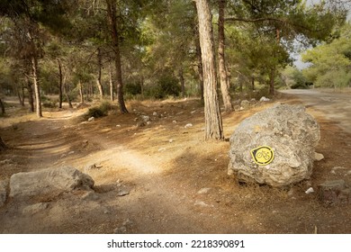 Mountain Bike Trail With A Direction Sign