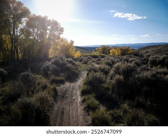 Mountain bike trail next to yellow aspens at sunset in Hartman Rocks Recreation Area in Gunnison Colorado - Powered by Shutterstock