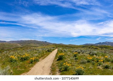 Mountain Bike Trails In The Boise Foothills