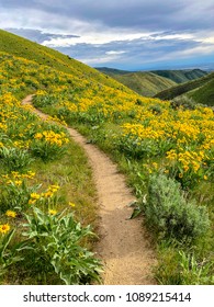 Mountain Bike Trails In The Boise Foothills, Idaho