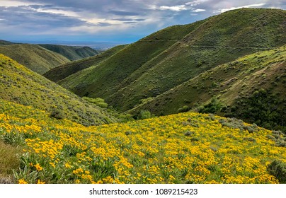 Mountain Bike Trails In The Boise Foothills, Idaho