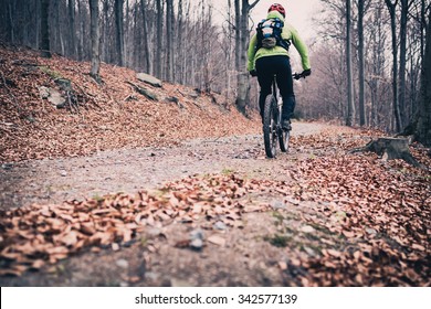 Mountain Biker On Cycle Trail In Woods. Mountains In Winter Or Autumn Landscape Forest. Man Cycling MTB On Rural Country Road. Sport Fitness Motivation And Inspiration.