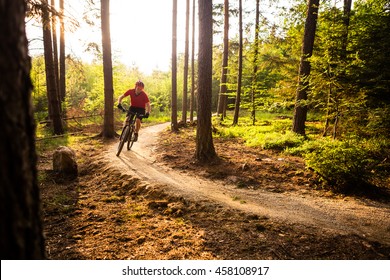 Mountain biker riding on bike in spring inspirational mountains landscape. Man cycling MTB on enduro trail track. Sport fitness motivation and inspiration outdoors in sunset woods. - Powered by Shutterstock