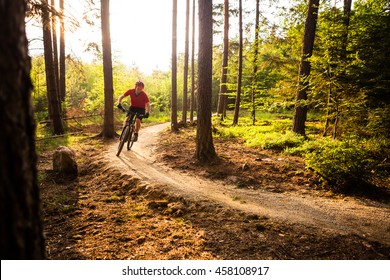 Mountain Biker Riding On Bike In Spring Inspirational Mountains Landscape. Man Cycling MTB On Enduro Trail Track. Sport Fitness Motivation And Inspiration Outdoors In Sunset Woods.