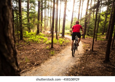 Mountain Biker Riding On Bike In Spring Inspirational Mountains Landscape. Man Cycling MTB On Enduro Trail Path. Sport Fitness Motivation And Inspiration. Rider Mountain Biking In Fall Woods.