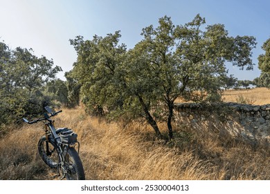 mountain bikes equipped with an electric motor that assists pedaling 01 - Powered by Shutterstock