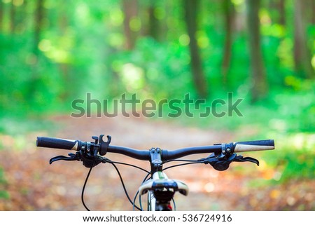 Similar – Image, Stock Photo Autumn forest and mountain lake