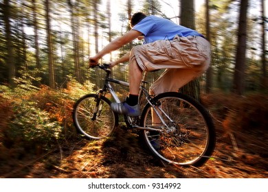 Mountain Biking In Motion, August, Surrey, UK