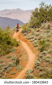 Mountain Biking On Desert Trail