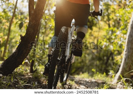 Mountain biking on spring forest trail