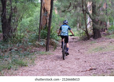 Mountain Biking Person Riding On Bike In Karri Forest Near Pemberton Western Australia.