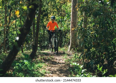Mountain biking in spring forest